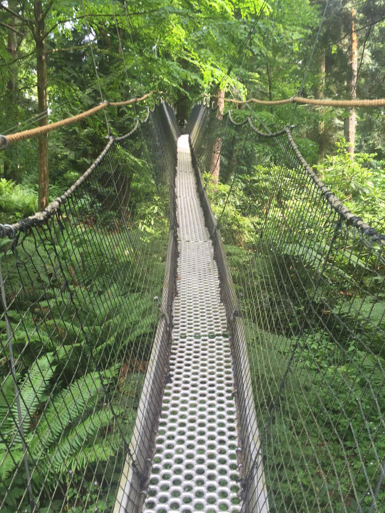 NomiFan's tweet photo. Great weekend activity #canopywalkway #ubcbotanicalgarden http://t.co/WluliguL6h