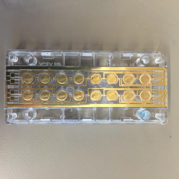 ElizabethC_H's tweet photo. Disposable? #gold-plated cell migration system. Wish I could turn it into a ring http://t.co/KjSETbdXEZ