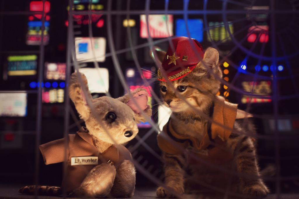 One last thing before I go. Meet Keanu himself (yes that's a real kitten and yes that's a scene from Crimson Tide):