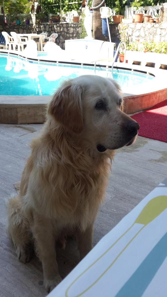 MGonenli_'s tweet image. 