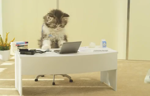 SirBritCat's tweet photo. Sitting in the office thinking we still got AGES 'til the next #BankHoliday.... #MondayMotivation #BritishProblems http://t.co/2ITYEsLEGI