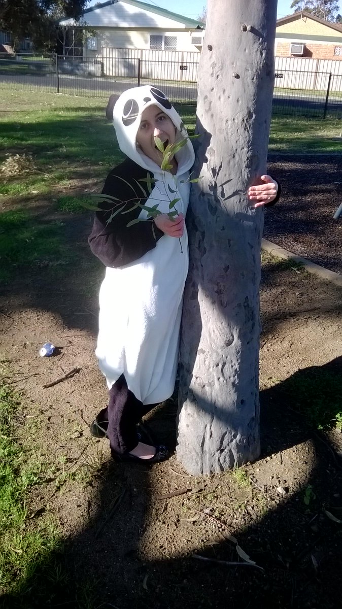 ruminationsreb's tweet photo. IT'S WILD ONESIE WEEK!

https://t.co/Erizc8GtdW http://t.co/Az6mTX0Bol
