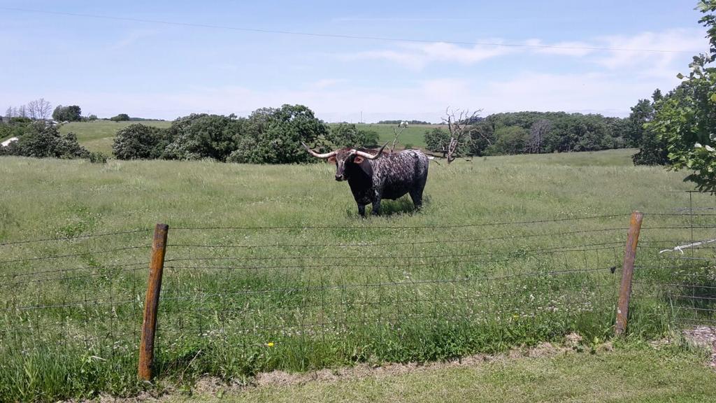 Level 3 year 3 diploma students in Iowa during study tour 2015.