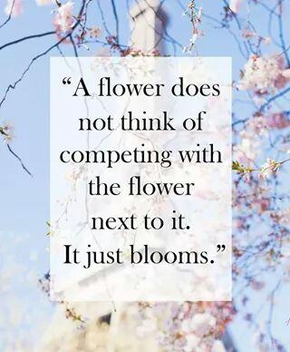 ReformdPlastics's tweet photo. Thought for today: A flower does not think of competing with the flower next to it.It just blooms.  #dorsethour http://t.co/8ASTjeqJkf