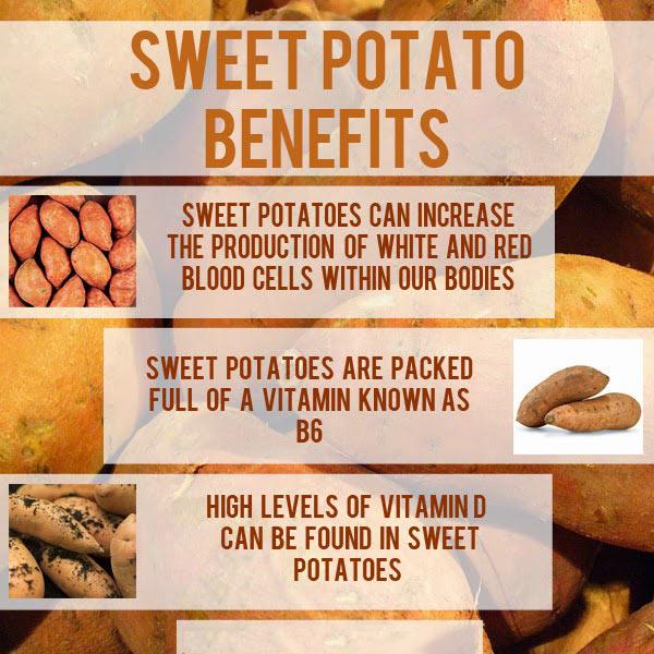 DailyHealthTips's tweet photo. Health benefits of Sweet Potatoes 

#HealthyFoods #Carbs #HealthTips #EbixAdam http://t.co/ydffPLkTEF