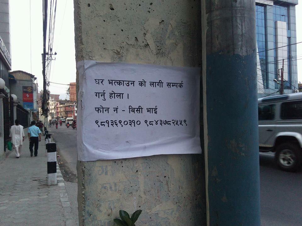 लौ हेर्नोस्, भूकम्पले रोजगारी सृजना पनि गरेछ नि!