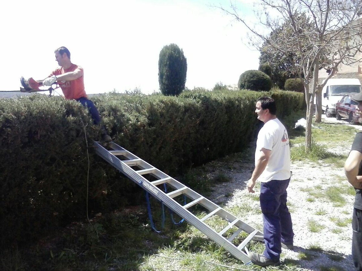 El Taller d'Ocupació dels Ports finalitza les seves tasques en l'Albereda de Morella +i: elsports.es