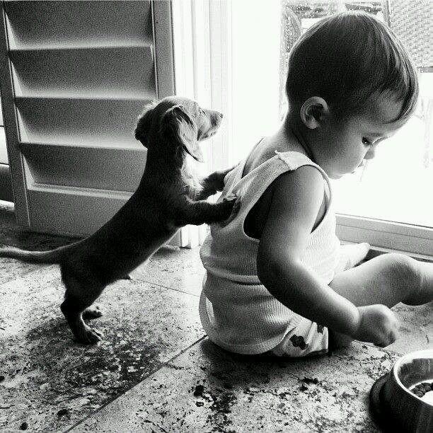 Gordon_Roberts2's tweet photo. Caption this. @ShirleyTaylorST @FrontPorchPets @drbrendawade @DogsInDonuts @hilaryandersen @mypawsitivepet @PetVault http://t.co/s8rd7gO4VS