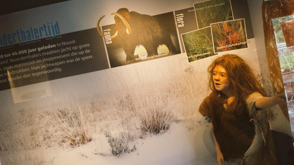 MarkEnAnt's tweet photo. Dit is een VET COOL museum! @ijstijdnl @MarkantFRL http://t.co/QF5lJTbGAU