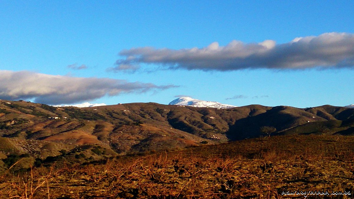 AlsurdegranadaA's tweet photo. #Vacances #Andalousie; #soleil #montagne #plage Bienvenue á #Sorvilán, au sud de #Granada #Alpujarra #CostaTropical http://t.co/BCdRBOxSNT