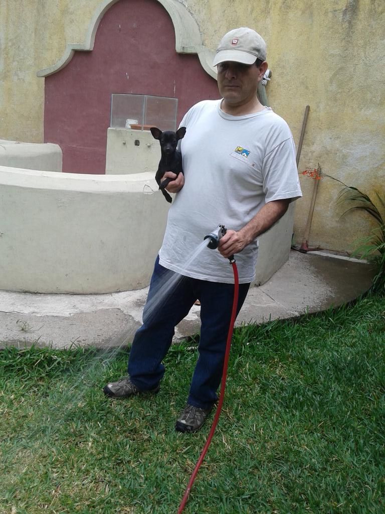 krnott's tweet photo. #PromoPerruna Yo soy Maya y ayudó a mi papá en todo! http://t.co/Yao2auj4fx