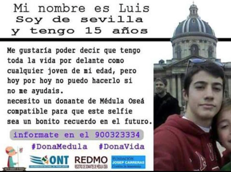 maxpradera's tweet photo. Adolescente sevillano necesita trasplante de médula @gerardotc 

900323334 http://t.co/45AtXGCxUB