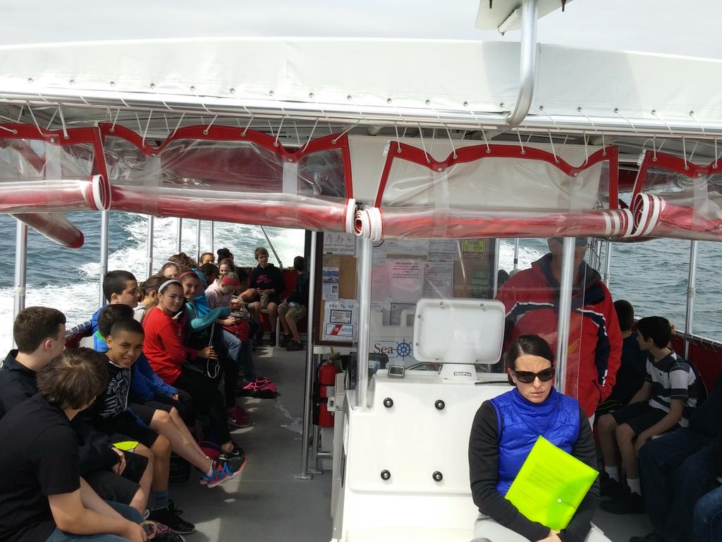 jarredhaas's tweet photo. Stingrays at Misery Island with @SSCoastwatch @higginshawks #peapub #highawk http://t.co/Wcwmpk17I9