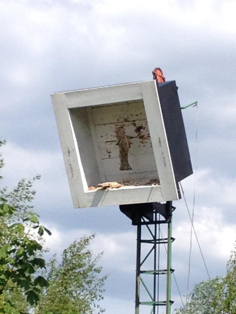 haeppchen187's tweet photo. Der zerrupfte Vogel. #SchuetzenvereinCappenberg http://t.co/l4oSwnkGBi