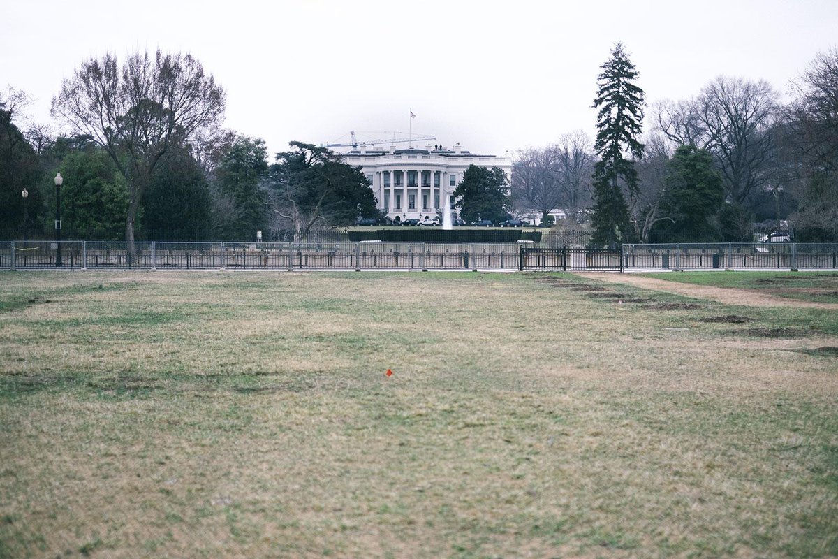 Dandies.fr tweet media