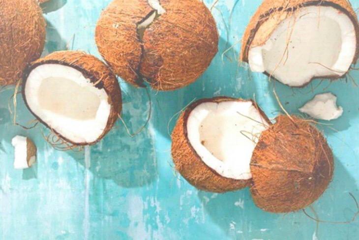 Tropic Feel (@tropicfeel) on Twitter photo 