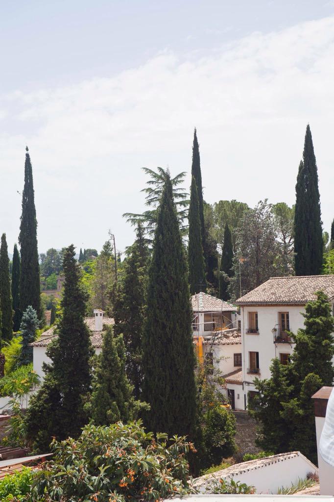 AlArtesania's tweet photo. Amar el barrio donde vives. #Granada #alhambra #albaicin #artesania #artesany #Andalucia http://t.co/rnwRFCVCAZ http://t.co/ubfbAwSJdB