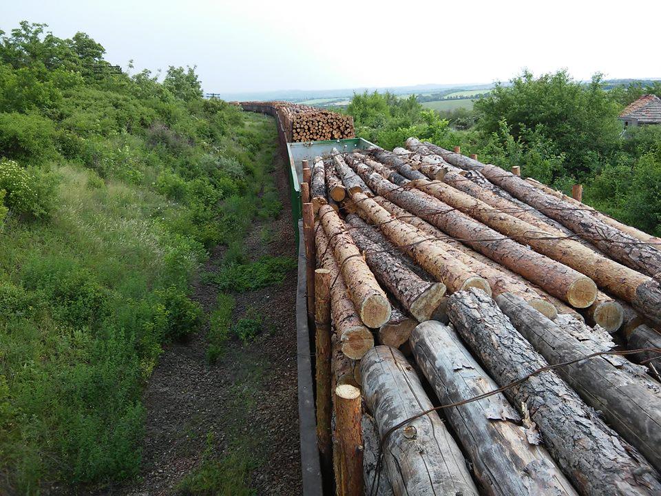 War is 52 wagons with building materials, wood, metal and coal from Ukraine to republic LNR buff.ly/1cCBE9y