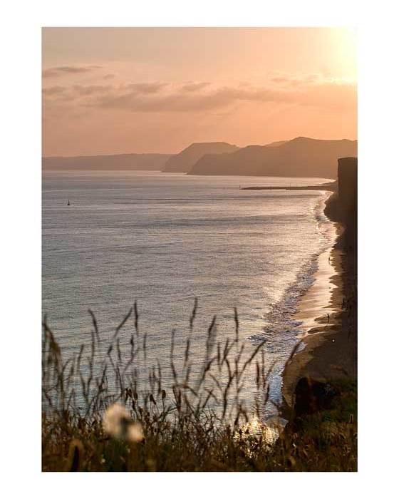 Wonderful mention <a href="/DownhouseFarm/">Downhouse Farm</a> in the weekend <a href="/Telegraph/">The Telegraph</a> - top unspoilt spots to stop off for tea or lunch #Dorset