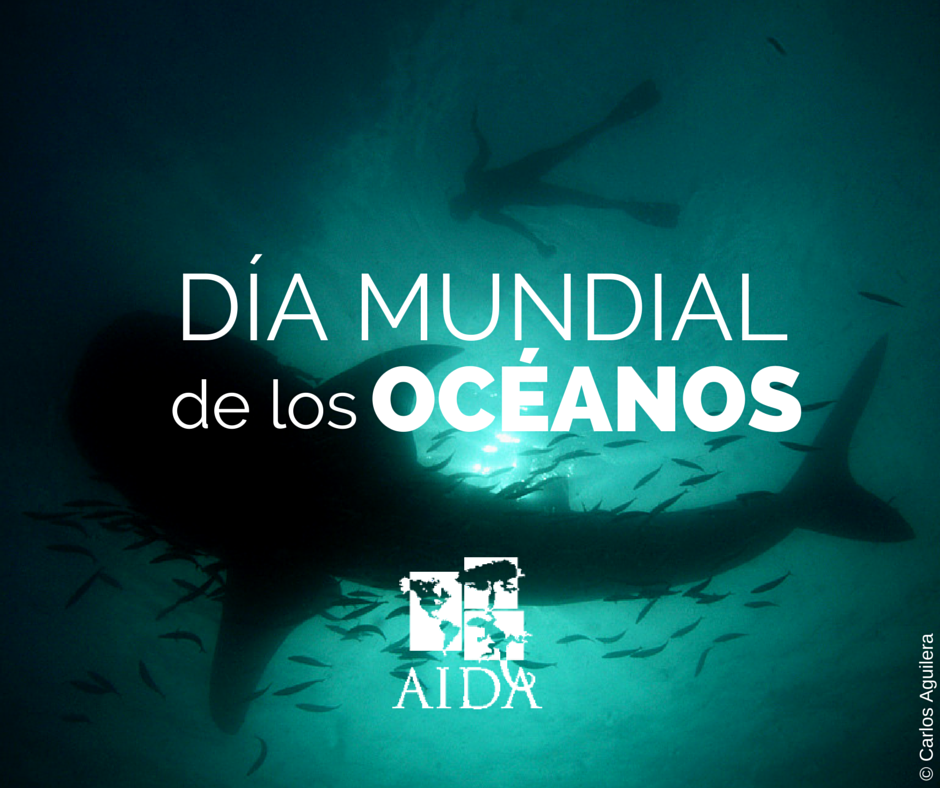 Enlace permanente de imagen incrustada