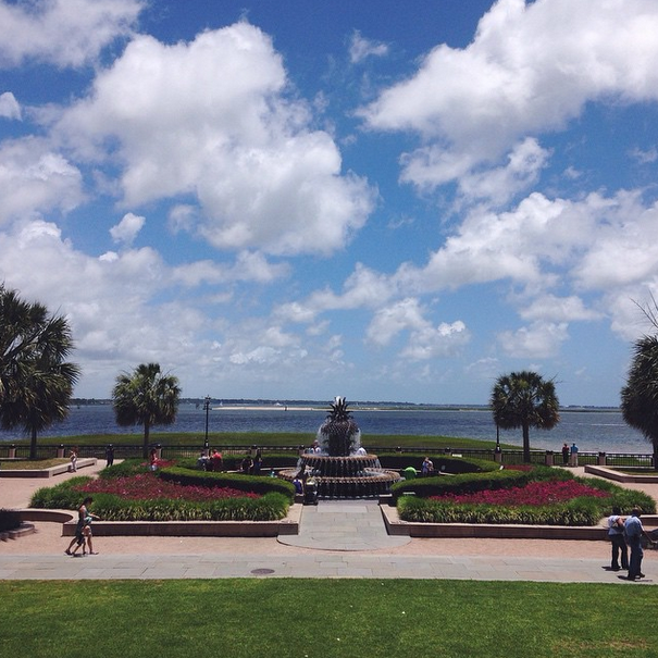 CofC's tweet photo. #Mondays aren't so bad in #Charleston. https://t.co/7Agbo3U5Xa http://t.co/IG2HY7xRko