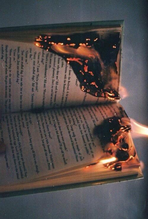 TumblrAhOk's tweet photo. -pk tu brules mon livre hunger games? je l'ai pas fini 
-tumblr
-ah ok http://t.co/1BdSFELXWP
