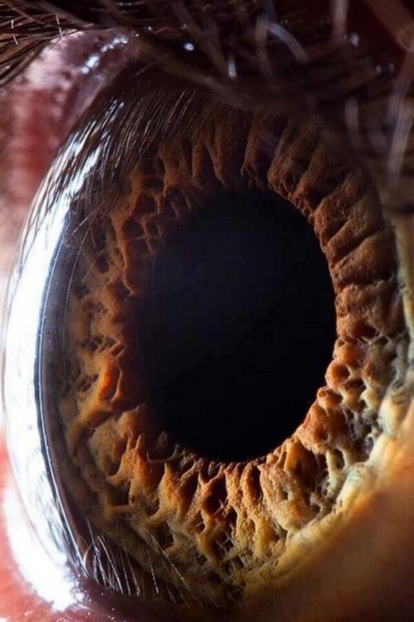 _Paisajes_'s tweet photo. Foto HD de un ojo humano. http://t.co/bAm44maukP