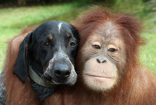 mojopages's tweet photo. Happy #BestFriendsDay ! Grab your buddy and do something new today. #MojoBeforeYouGo  http://t.co/ozzLQu6y3b http://t.co/Iv0H1JN5PB