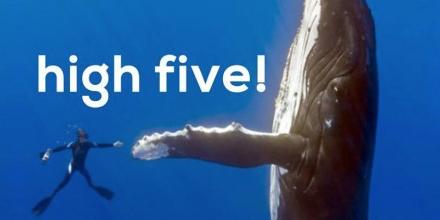 Happy World Oceans Day. RT to remind people to keep plastic out of the oceans #SocialPlastic plasticbank.org