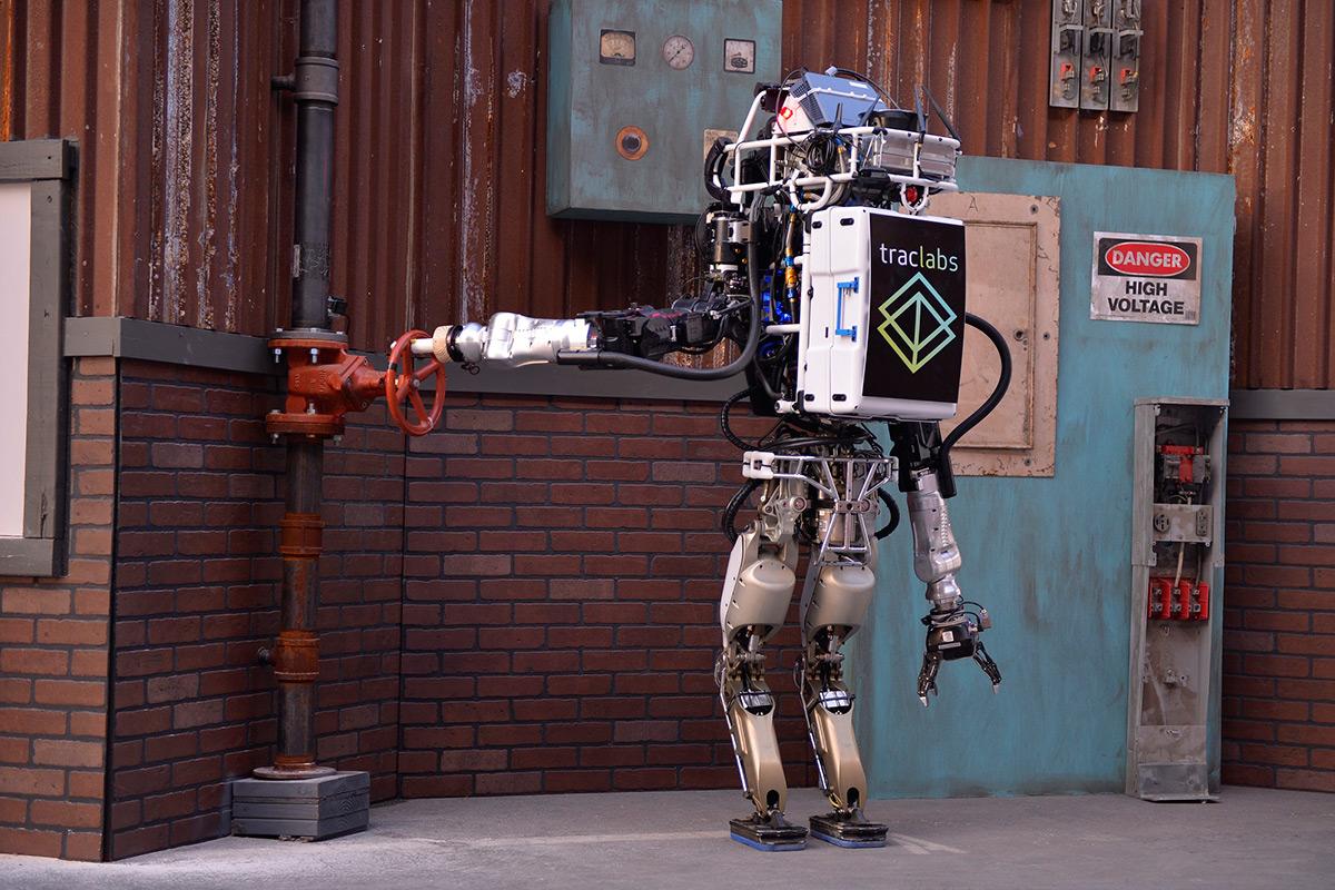 Бытовые роботы. Персональные роботы. Собака chip wowwee. Робот ubtech yanshee. Домашний робот.