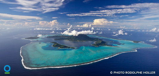 ConservationOrg's tweet image. On #WorldOceansDay, 6 signs of hope for our blue planet: ci-intl.org/1Iyyhin #NatureIsSpeaking