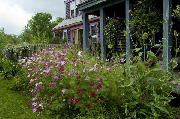 Avena Botanicals is home to more than 120 species of medicinal herbs. Explore the garden: bit.ly/1KX7DjG