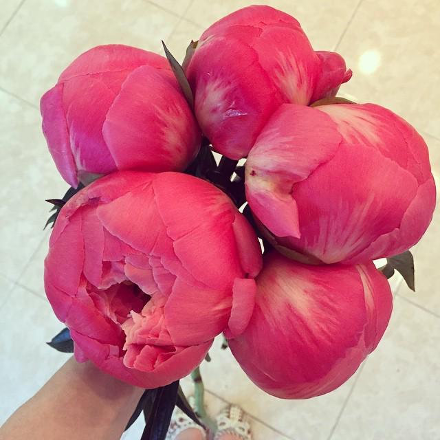 InstaYevpatoria's tweet image. Нереальные коралловые пионы😍😍😍 Не знаем как вы, но мы от них в восторге!
#пионы#студияфлористикиидекора #FAMILYflow…