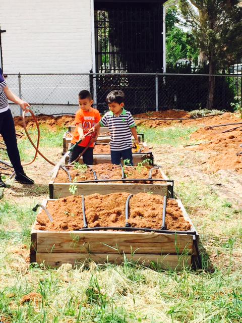 TheCivicCanopy's tweet photo. Veggies have been planted in El Pato Jardín Feliz/The Happy Duck Garden, and community members had some help. http://t.co/RH2IYL9oJ7