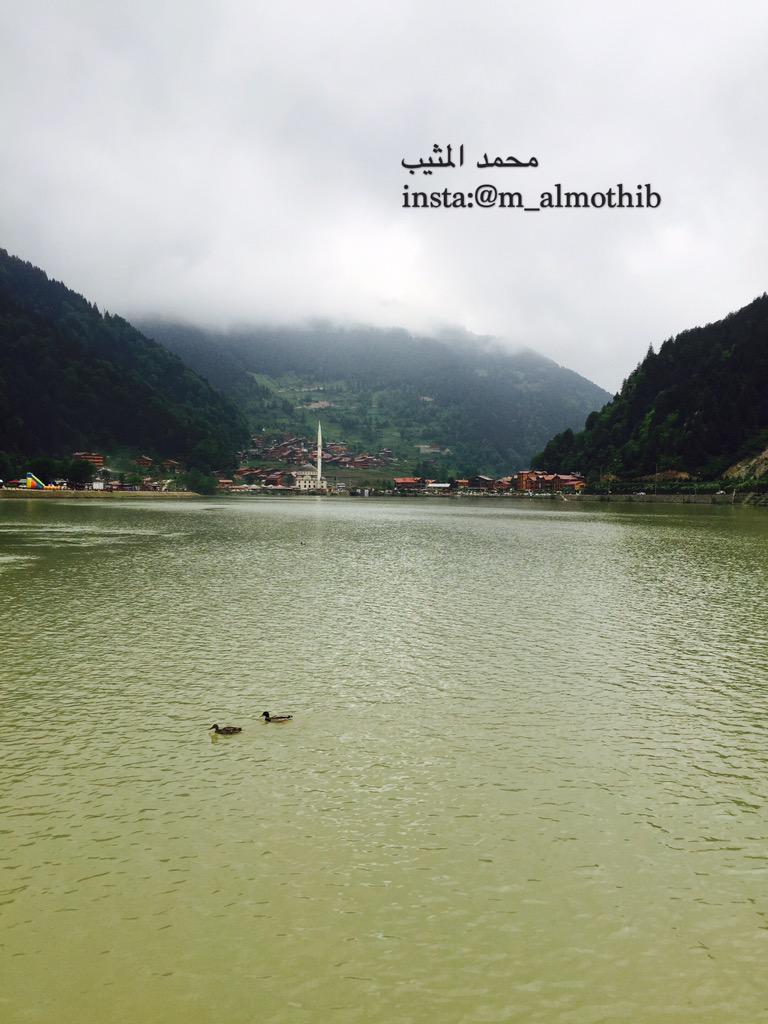 m_almothib's tweet photo. @basrah007 
مساء الخير او نجم #تصويري  لعروس الشمال  #اوزنجول http://t.co/3OO2GwDAKz