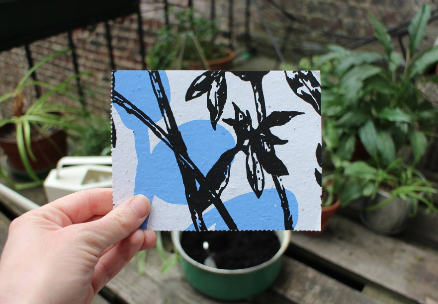 PrairiePartDieu's tweet image. L'essaimage continu et les fleurs se dispersent jusqu'à Bruxelles ...Merci à Louise Devin ! #PRAIRIE #Hashtagprairie