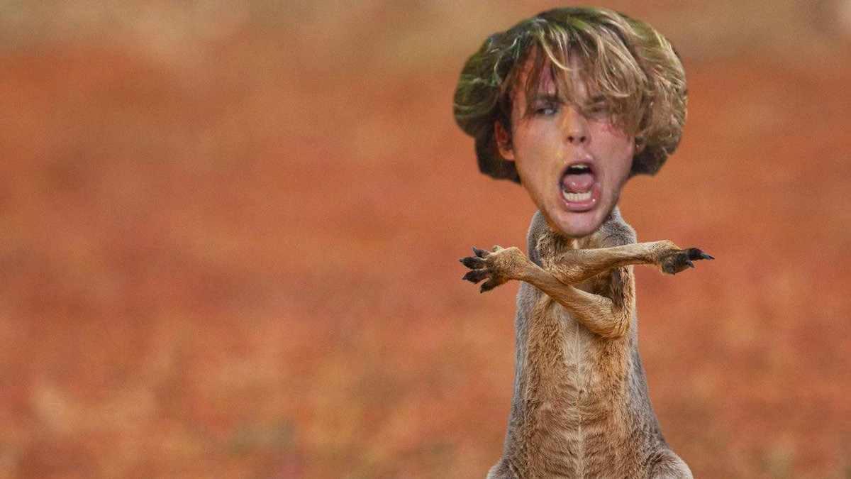 greekgod_ashton's tweet photo. kangaroo Ashton be like: 
Now watch me whip 
Now watch me nae nae 
Now watch me whip whip
Watch me nae nae .. 🎶😲😵😂 http://t.co/cZwBJkI19I