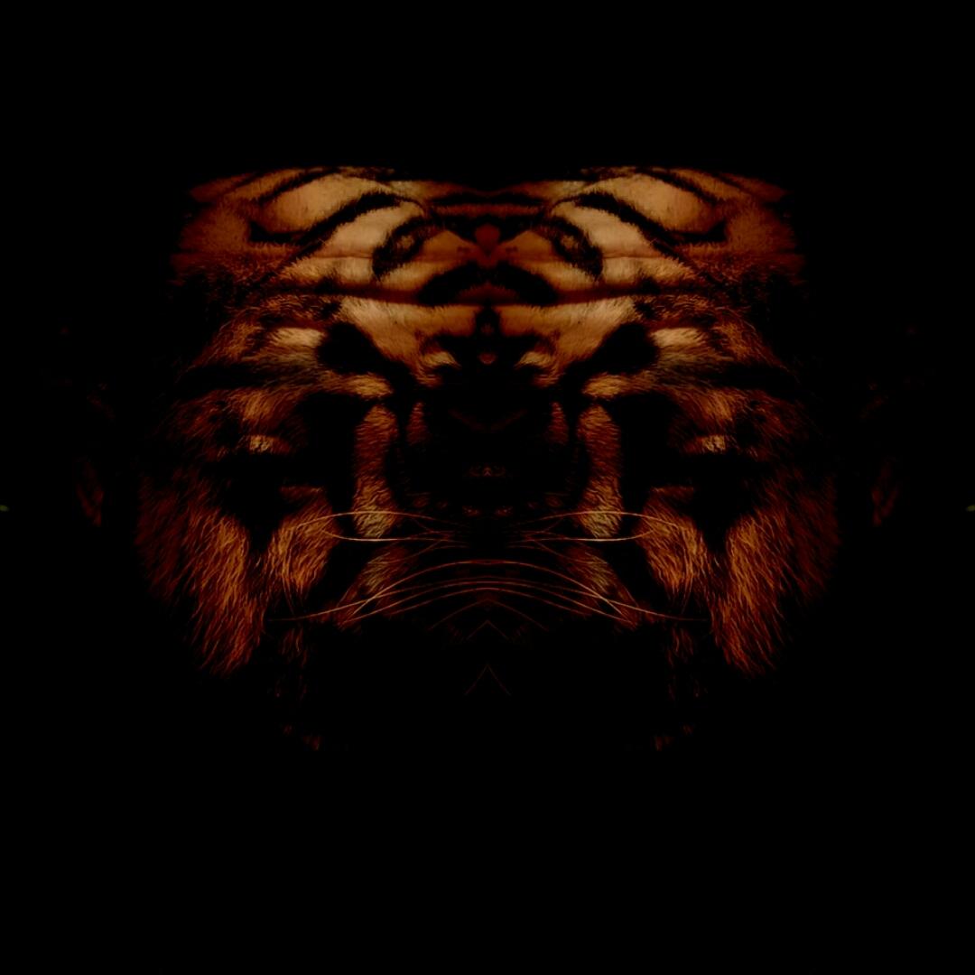xholiog's tweet photo. Listen to Vent2 at ...space! by kirkodz #np on #SoundCloud
http://t.co/wQQnmt31Yv.  "My animal instinct " http://t.co/TGtpa1wtbE
