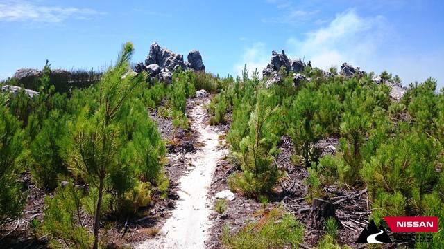 NISSAN TrailSeeker (@TrailSeekerMTB) | Twitter