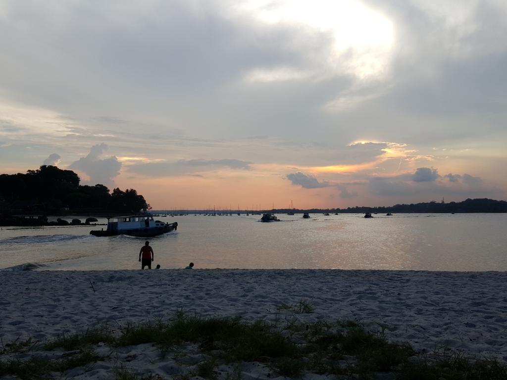 gogoffer tweet media