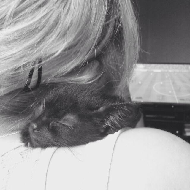 em_rose's tweet photo. #blackandwhitephotography #blackcat #kittenplay #kittensarethebest #kittens #lovinglife http://t.co/PepLXM0R7R