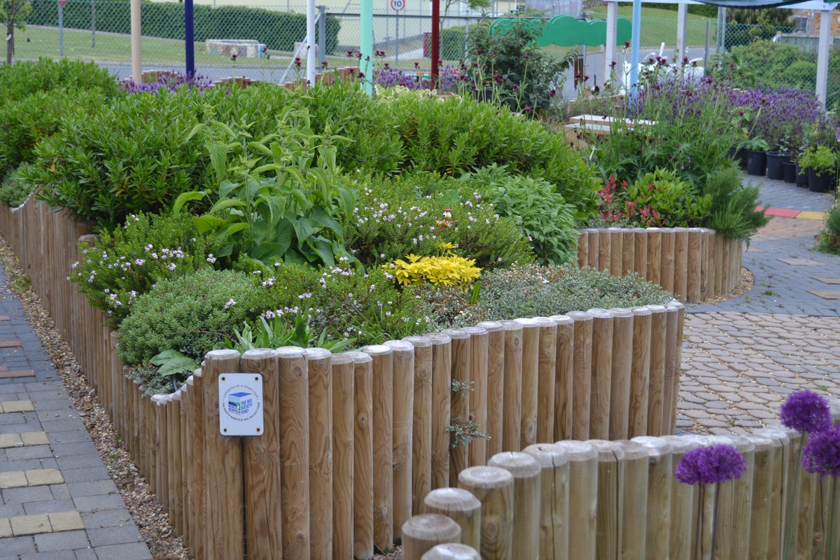 ThePatchSCSP's tweet image. Some lovely photos taken earlier today @ThePatchSCSP