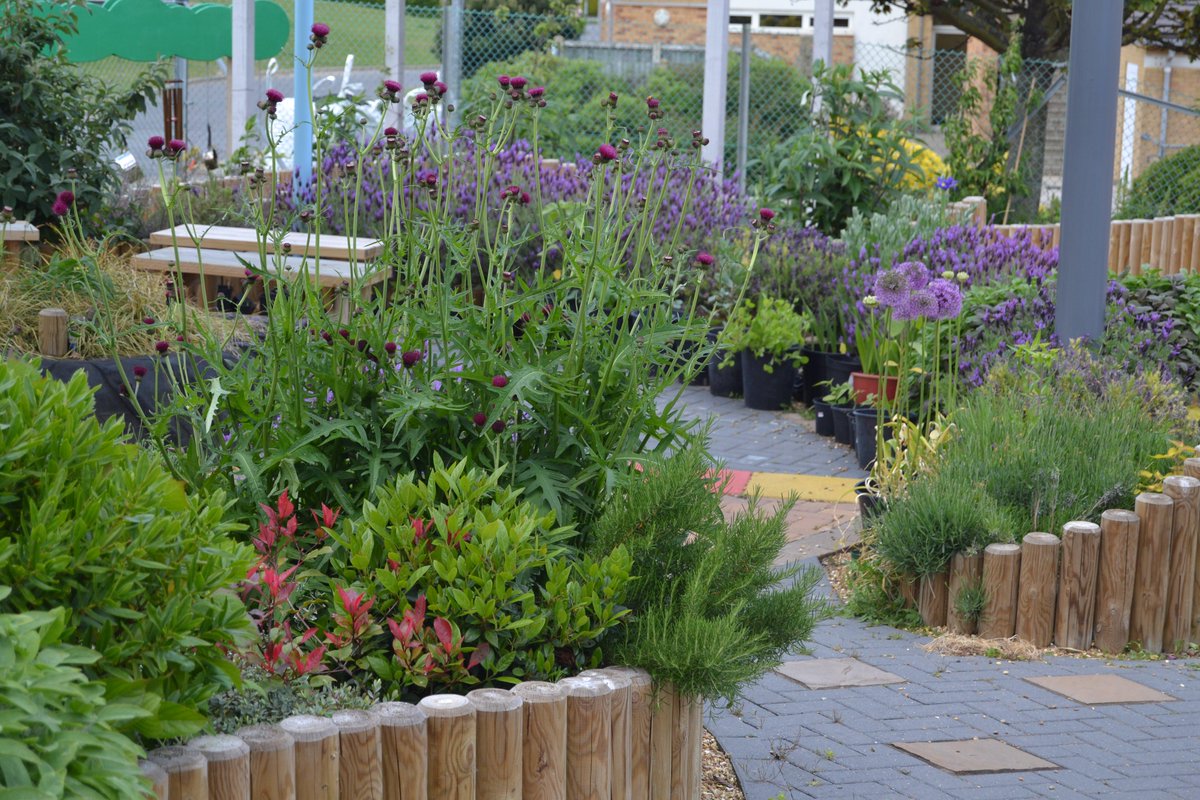 ThePatchSCSP's tweet image. Some lovely photos taken earlier today @ThePatchSCSP