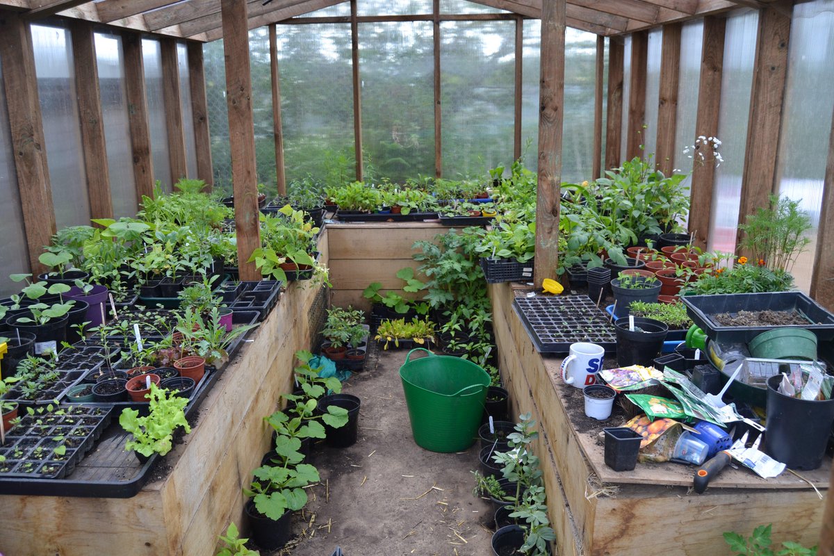 ThePatchSCSP's tweet image. And a few more photos from @ThePatchSCSP