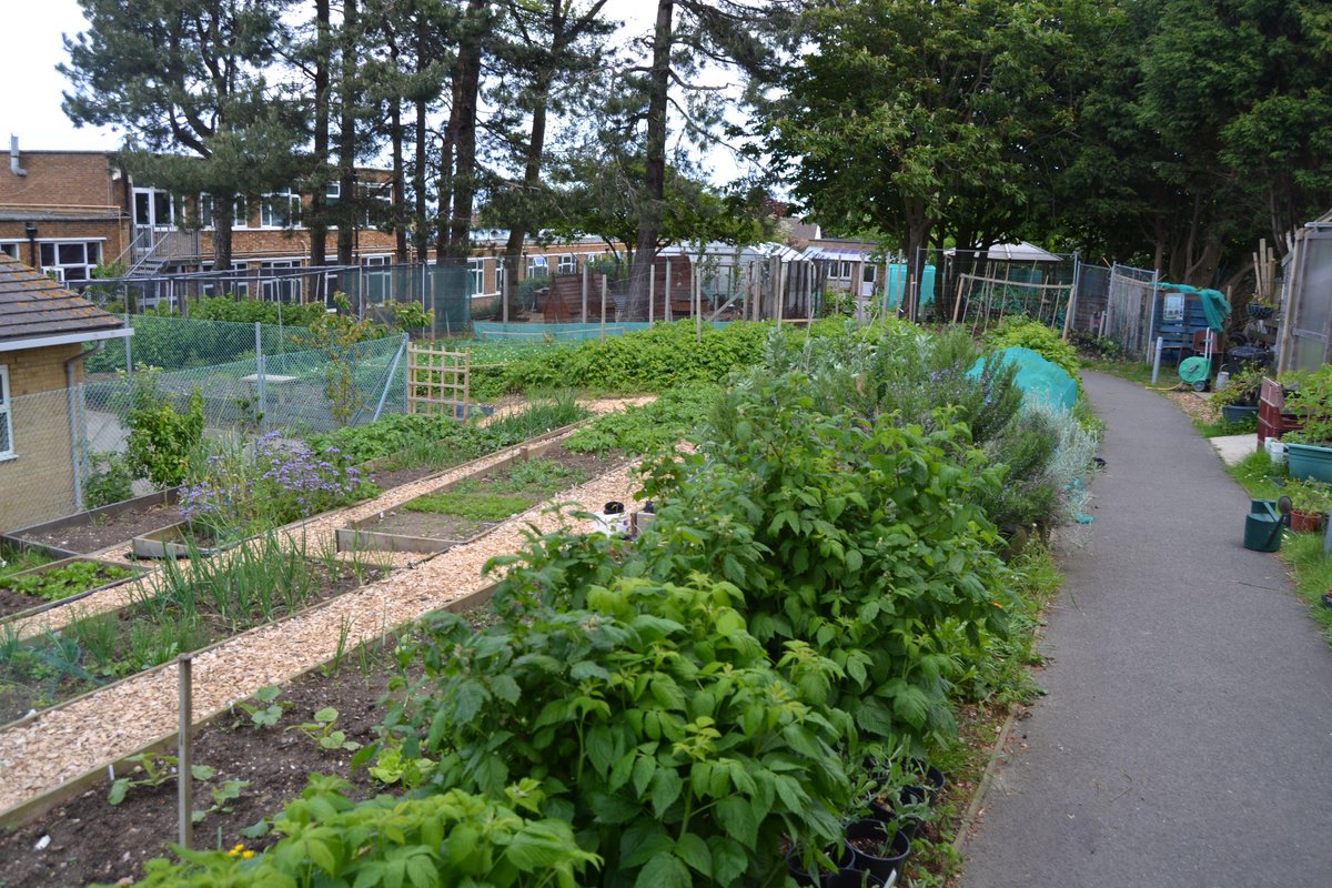 ThePatchSCSP's tweet image. And a few more photos from @ThePatchSCSP