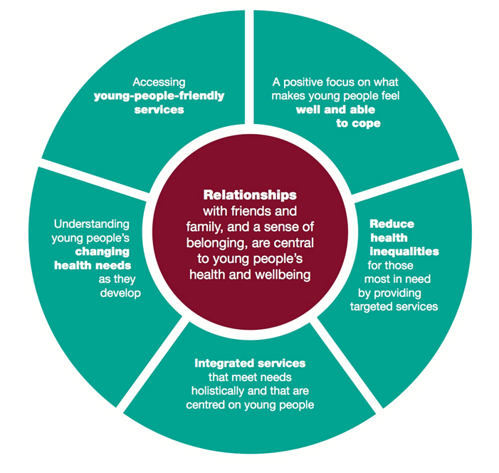 UKHSA_WestMids's tweet photo. Why invest in the health of #YoungPeople? Majority of deaths may be preventable eg traffic collisions #YPFramework http://t.co/uNPHDlD686