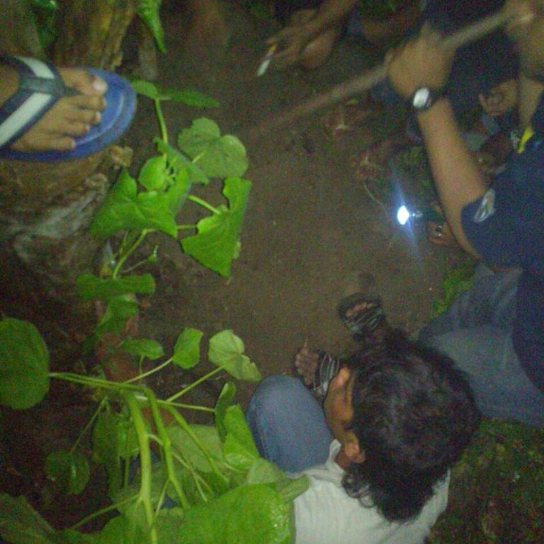 semarangpeduli's tweet photo. Penyelamatan pohon winong dr kepunahan di mijen, semarang http://t.co/eXcKFRexKY