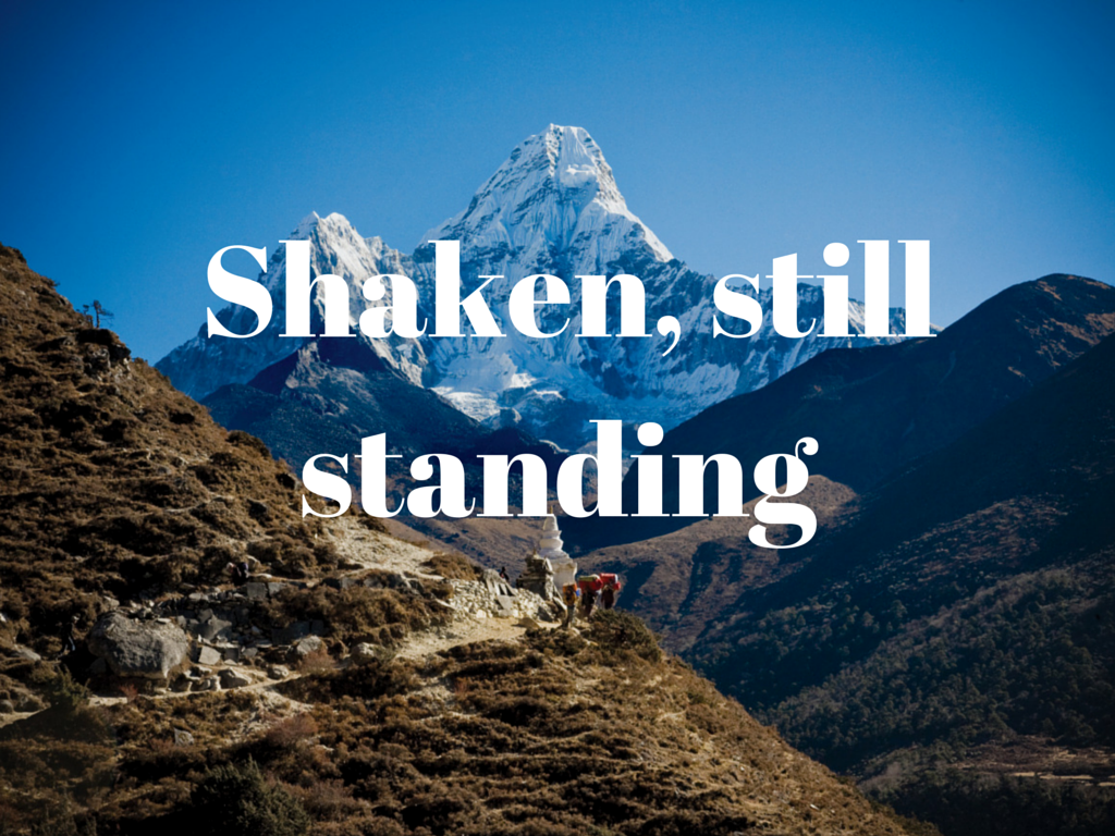 Intrepid_Travel's tweet photo. We're donating all profits from trips sold to Nepal to help them rebuild. http://t.co/zkCK4iF5ST #NepalNeedsYou http://t.co/gvwiB8yv7E