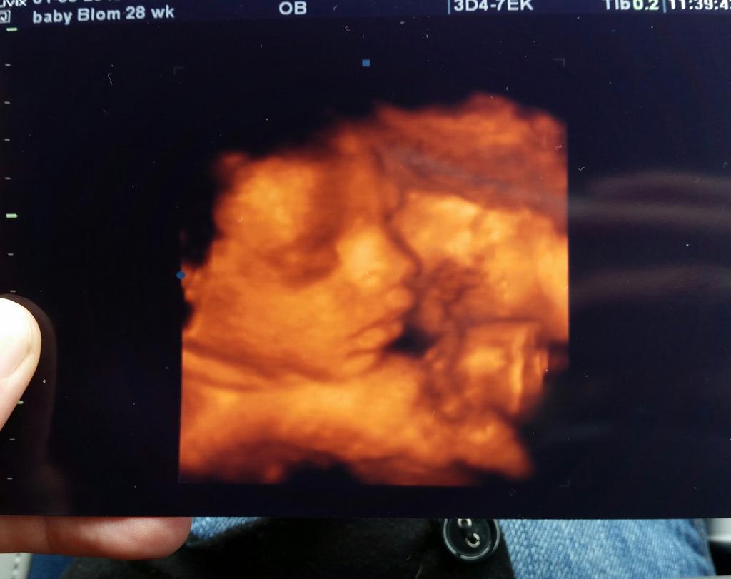 Kelly van Harskamp tweet media