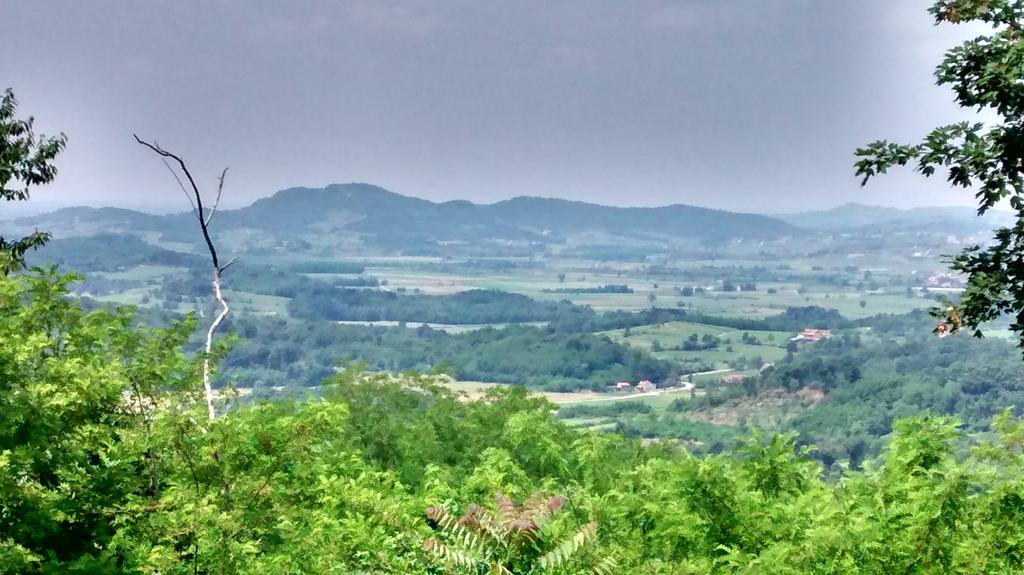 marco ponta tweet media